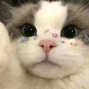 amhello