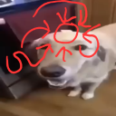 avatar butta dog🧈