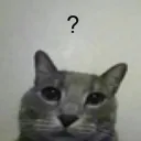 mxzex