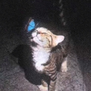 avatar fssttrrhrrd1!!!