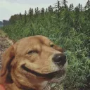 obojoski