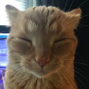avatar O Tanek