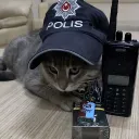 erkutxd