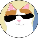 wpdavid