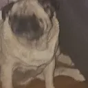 naahyeaahnaah