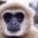 avatar Otar Rebirthed