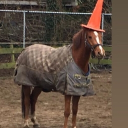 avatar Oguri X Ace lovechild