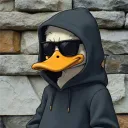 duckpp