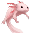 Axolotl