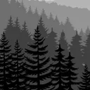 forest01096