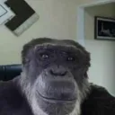 mastermonkey.
