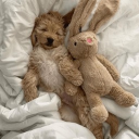 avatar ´⋆˚࿔ 𝕵𝖚𝖑𝖎𝖆 𝜗𝜚˚⋆