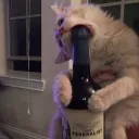 nelemaus