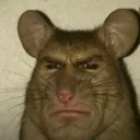 hvdr