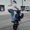 jellystunts