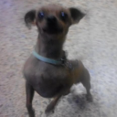 delicia420