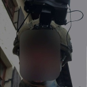 fennek_vie