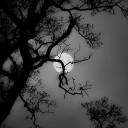 avatar D̴ͣͅĂ̌͊R̄̄̏K͒ͪ͋N̈́̒͗E͖̔̀S̒͊S