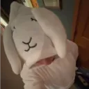novaat