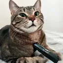 critislur avatar