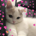 avatar where's my love?