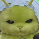 syvtae
