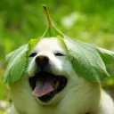 beep02101
