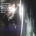 7.f.s