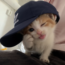 avatar 琳达