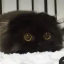 smollish