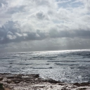 avatar 𝐿𝒾𝓁𝓁𝓎