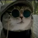 mishiro555 avatar