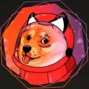 dogeinspacenft6924