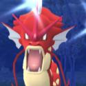 gyarados7461