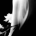 spoon383 avatar
