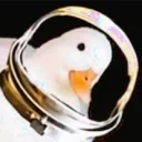 boogieguyry