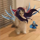 avatar Lucrezia Anselmi