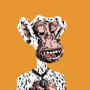 roger239122