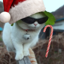 avatar LettuceApprentuce (but festive)