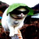 avatar ᯽ LettuceApprentuce ᯽