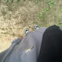 spiderbem