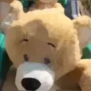captain.bear