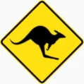 reverse_kanga