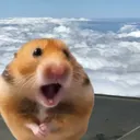 wavevev