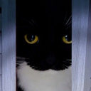 avatar ∆rti(Lin)(㊙)