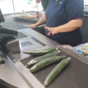 avatar ⃟⃟⃟⃟⃟⃟