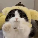owaartin