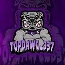 topdawg337