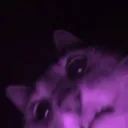 johan_123_