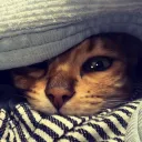 hideokamoto
